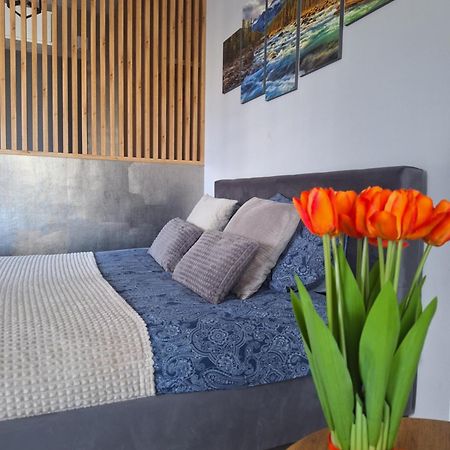 Apartament Gorska Szarotka Nowy Targ Dış mekan fotoğraf